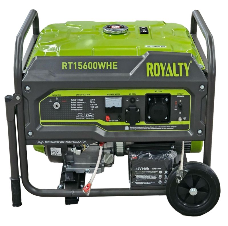 موتور برق 10 کیلووات مدل RT15600WHE